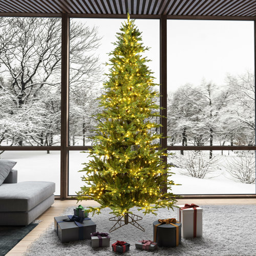 Wayfair 12+ Foot PreLit Christmas Trees You